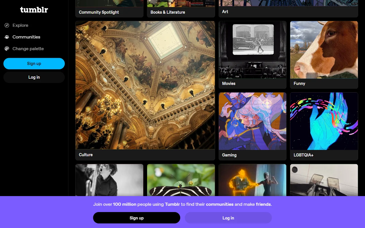 Tumblr Dashboard